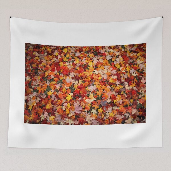 Item preview, Colorful Fallen Autumn Leaves designed and sold by BostonArcImage.