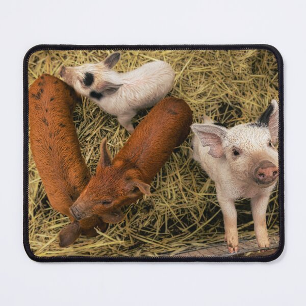 Item preview, Heart Piggies designed and sold by Lynn Snow Images.