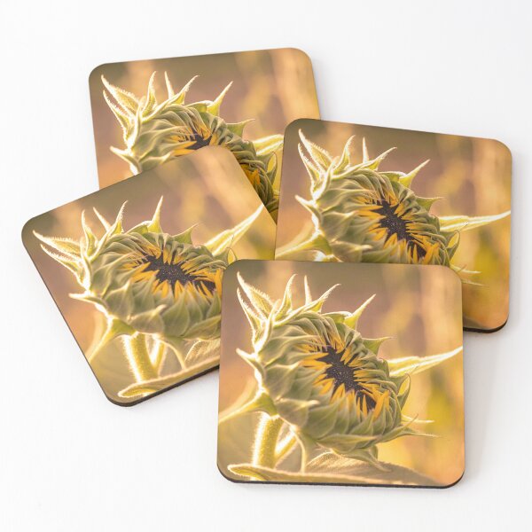 Item preview, Sunflower Opening designed and sold by Lynn Snow Images.