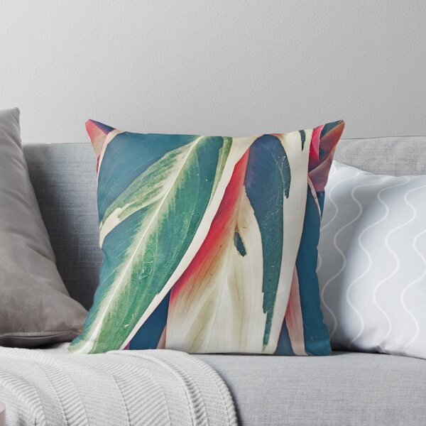 Item preview, Conflicted designed and sold by oliviastclaire.
