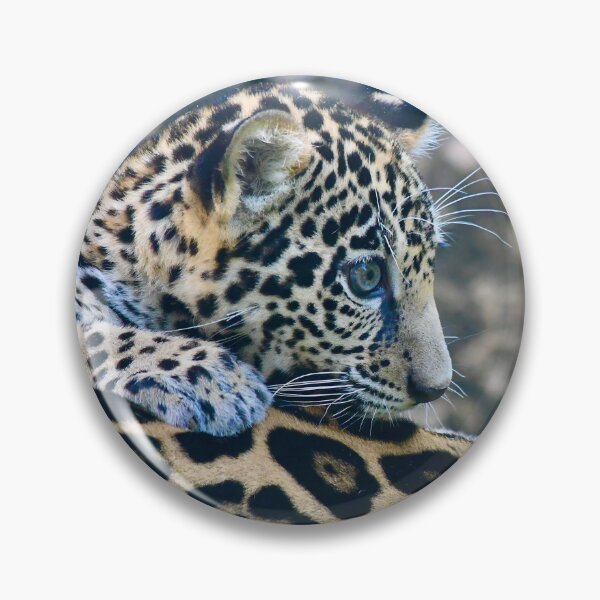 Item preview, Jaguar Cub Standing on Mom's Back designed and sold by richardbryce.