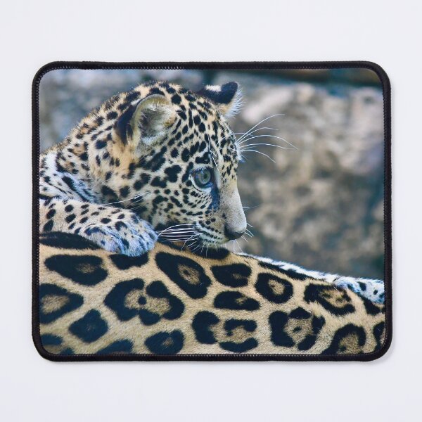 Item preview, Jaguar Cub Standing on Mom's Back designed and sold by richardbryce.