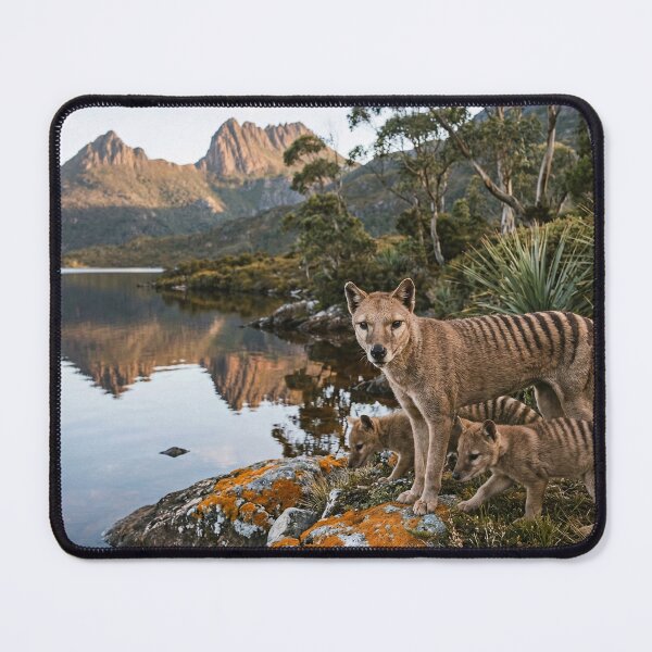 Item preview, Tasmanian Tiger & Joeys designed and sold by ShaneWalkerArt.