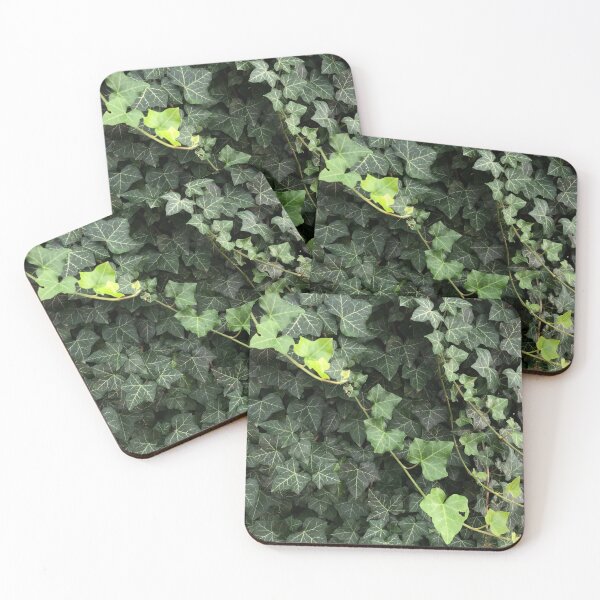 Item preview, Ivy Vines Photograph designed and sold by GiSilver.