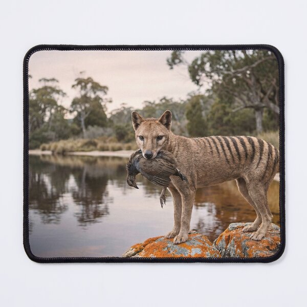 Item preview, Thylacine Hunt designed and sold by ShaneWalkerArt.