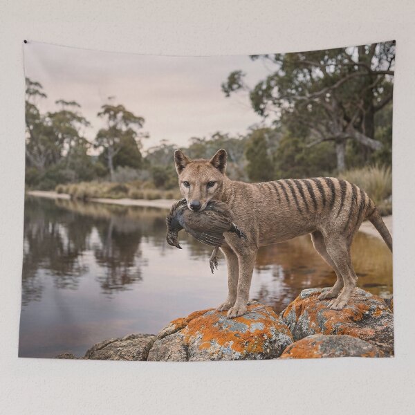 Item preview, Thylacine Hunt designed and sold by ShaneWalkerArt.