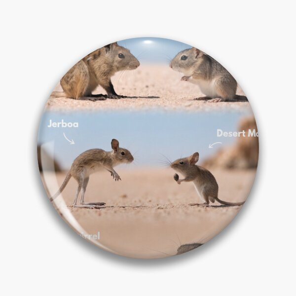 Item preview, A group of desert rodents in their natural habitat designed and sold by Creative88Art.