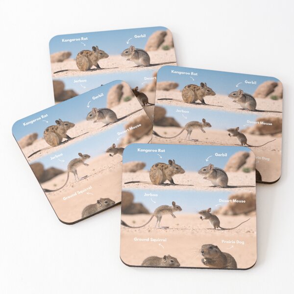 Item preview, A group of desert rodents in their natural habitat designed and sold by Creative88Art.