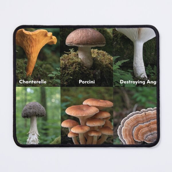 Item preview, A collection of various wild mushrooms designed and sold by Creative88Art.