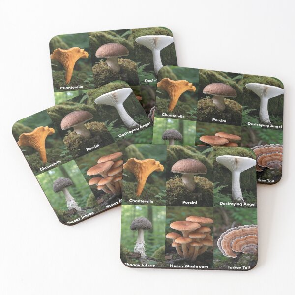 Item preview, A collection of various wild mushrooms designed and sold by Creative88Art.