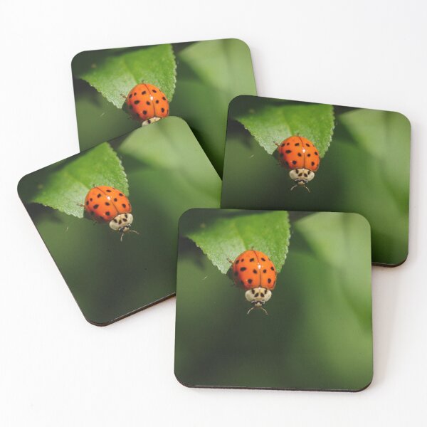 Item preview, Ladybug designed and sold by Autumnpics.