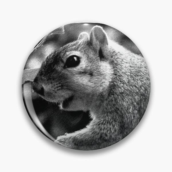 Item preview, C2025 STEVE YELLOWBEAR FOX SQUIRREL black and white photographic  art designed and sold by SteveYellowbear.