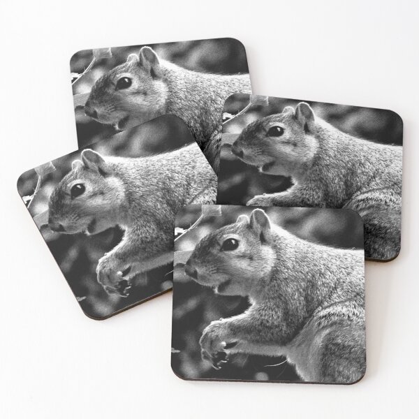 Item preview, C2025 STEVE YELLOWBEAR FOX SQUIRREL black and white photographic  art designed and sold by SteveYellowbear.