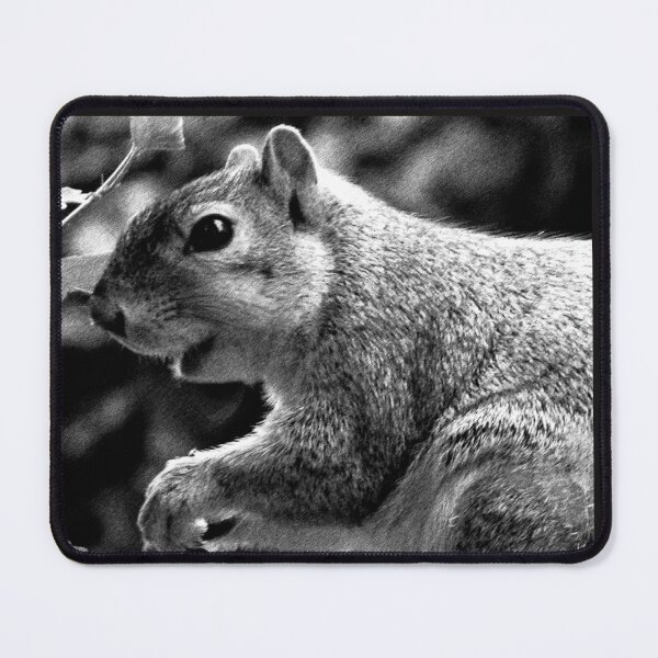 Item preview, C2025 STEVE YELLOWBEAR FOX SQUIRREL black and white photographic  art designed and sold by SteveYellowbear.