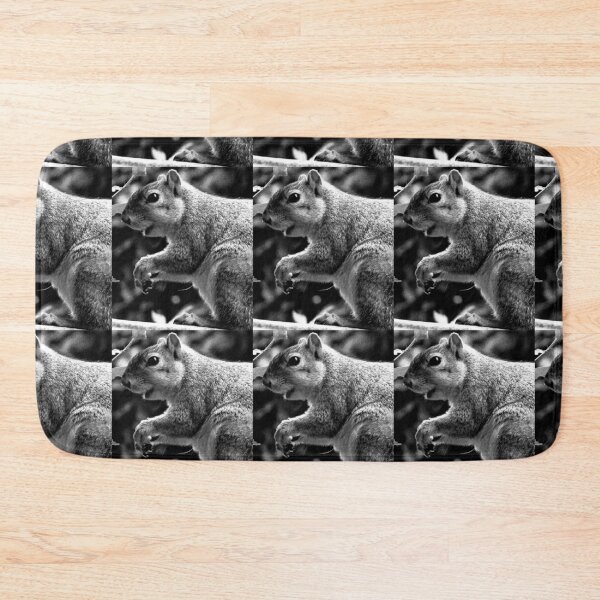 Item preview, C2025 STEVE YELLOWBEAR FOX SQUIRREL black and white photographic  art designed and sold by SteveYellowbear.