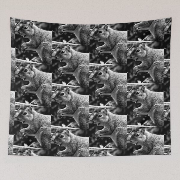 Item preview, C2025 STEVE YELLOWBEAR FOX SQUIRREL black and white photographic  art designed and sold by SteveYellowbear.