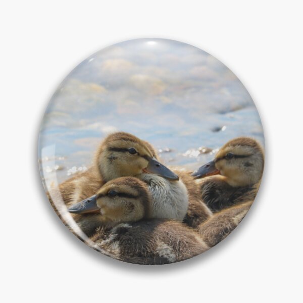 Item preview, Ducklings  designed and sold by Autumnpics.