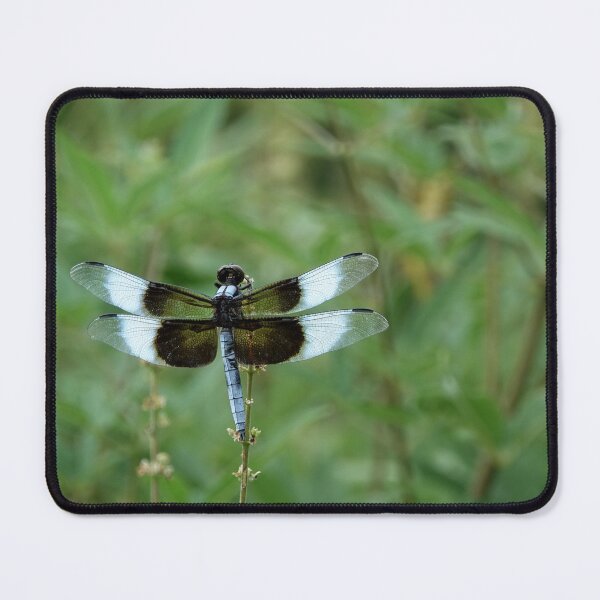 Item preview, Dragonfly- Widow Skimmer designed and sold by MoodyMuseArt.