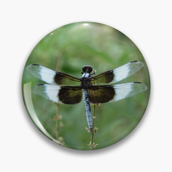 Item preview, Dragonfly- Widow Skimmer designed and sold by MoodyMuseArt.