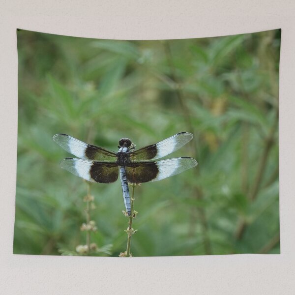 Item preview, Dragonfly- Widow Skimmer designed and sold by MoodyMuseArt.