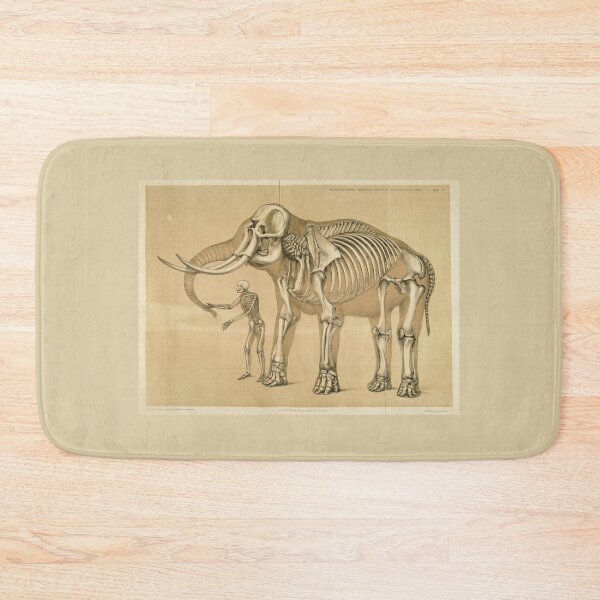 Item preview, Comparative View of the Human and Elephant Frame by Benjamin Waterhouse Hawkins designed and sold by Amanda1775.