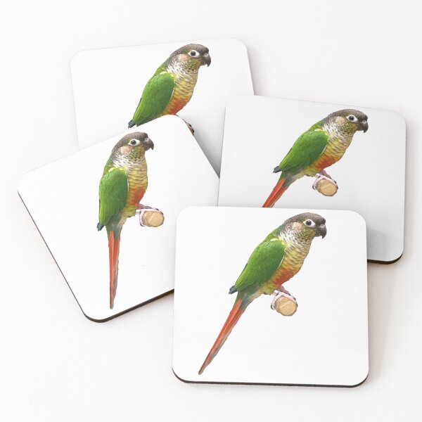 Item preview, Green-Cheeked Conure designed and sold by kyra0nicole.
