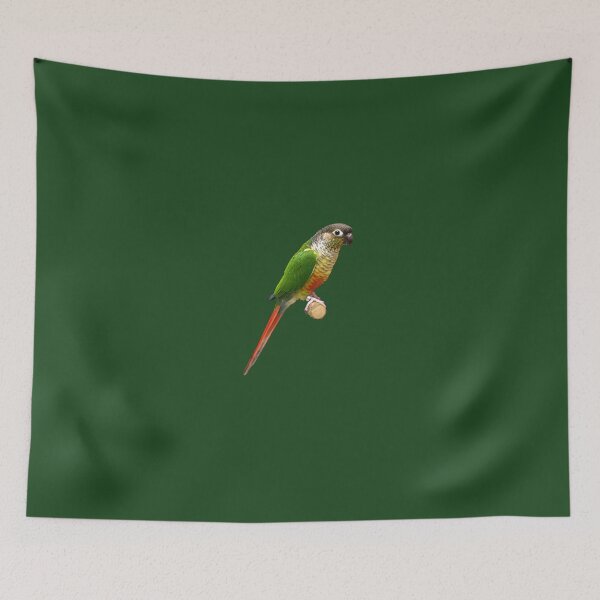 Item preview, Green-Cheeked Conure designed and sold by kyra0nicole.