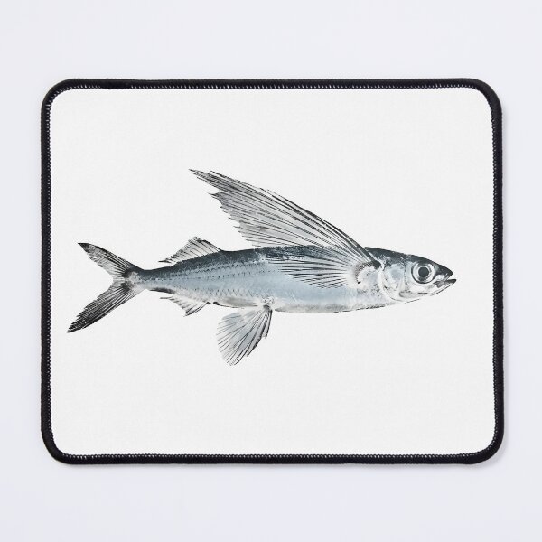 Item preview, Gyotaku of Flying Fish designed and sold by INKEDOCEAN.