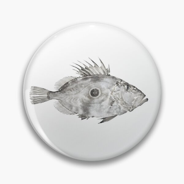 Item preview, Gyotaku of John Dory designed and sold by INKEDOCEAN.