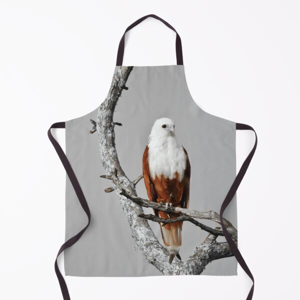Item preview, Brahminy Kite looking over Dundowran Beach designed and sold by Mark Grimsley.