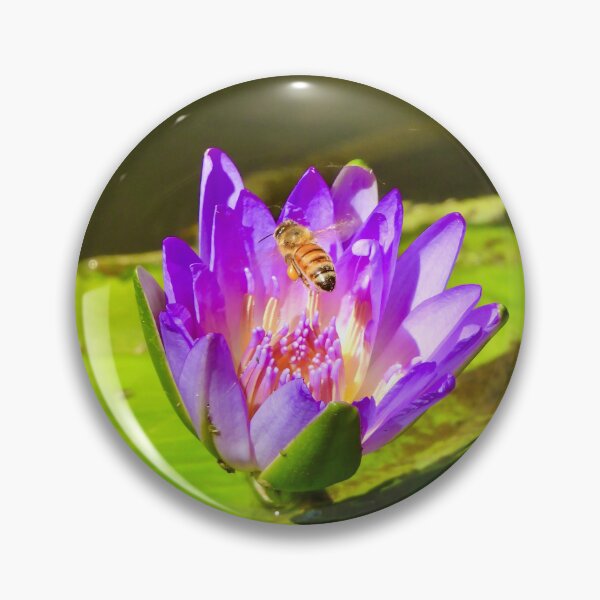 Item preview, Bee flower Arkarra lagoons  designed and sold by Mark Grimsley.