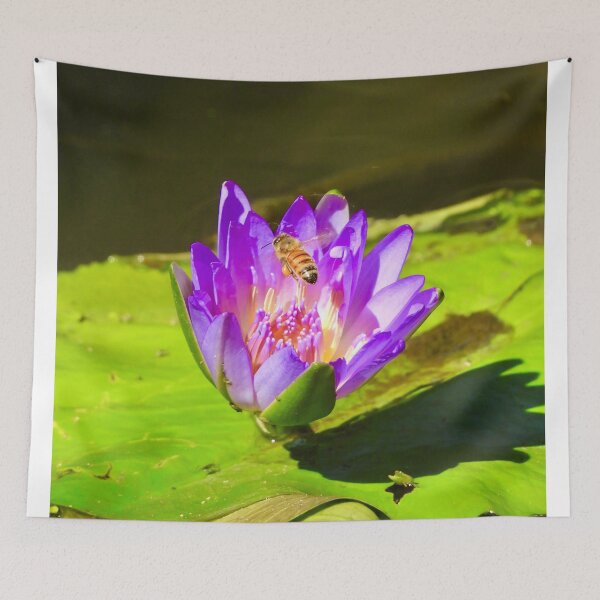 Item preview, Bee flower Arkarra lagoons  designed and sold by Mark Grimsley.