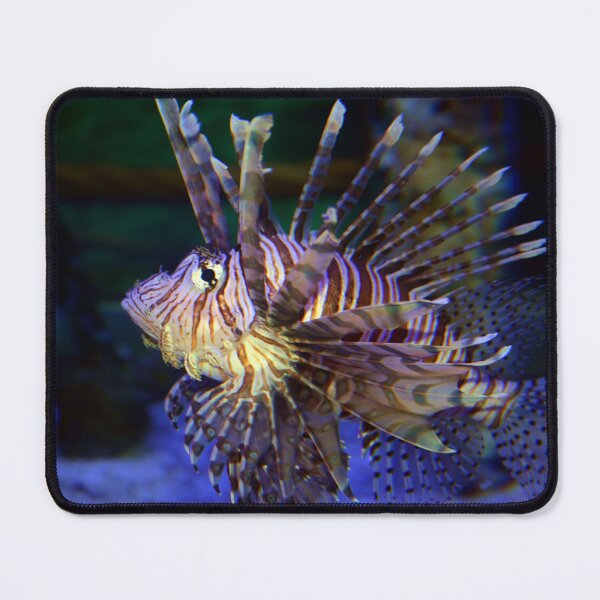 Item preview, Majestic Lionfish  designed and sold by Savannah Gibbs.
