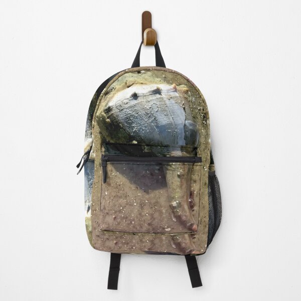 Item preview, Live conk shell at Florida beach designed and sold by OMNIPOTENTNECRO.