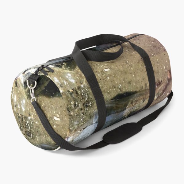 Item preview, Live conk shell at Florida beach designed and sold by OMNIPOTENTNECRO.
