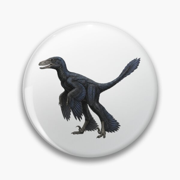 Item preview, The Microraptor: A Feathered Dinosaur with Four Wings designed and sold by Chaoscience.