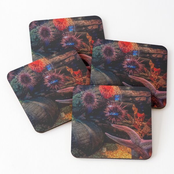 Item preview, Sea Urchins and Sea Anemone Aquarium Scene – Colorful Marine Life Photography designed and sold by aadventures.