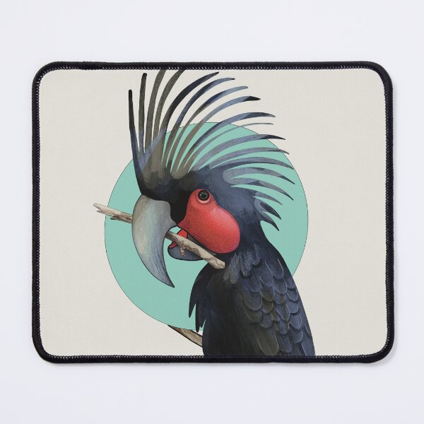 Aperçu de l'œuvre Cacatoès à queue palmée, oiseau australien, perroquet noir créée et vendue par Karin Taylor.