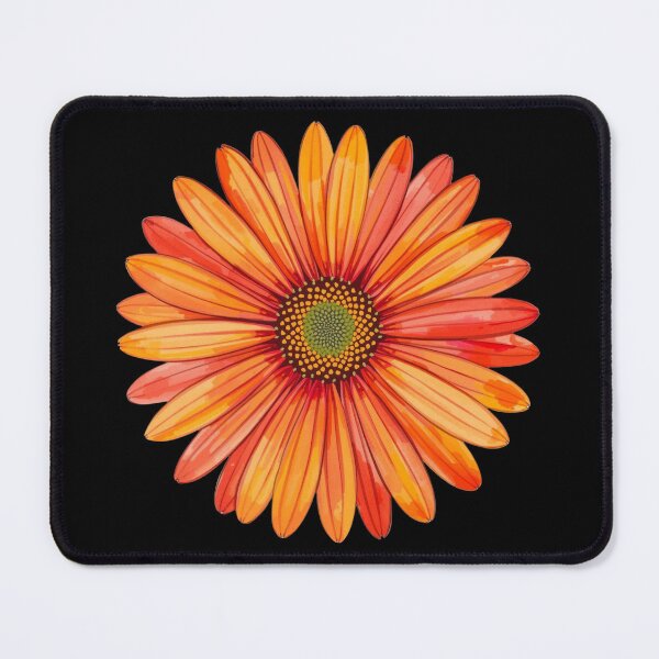 Item preview, Vibrant Orange Gerbera Daisy Close-Up Floral Bloom With Bold Petals On Black Background designed and sold by KanDa-Shop.