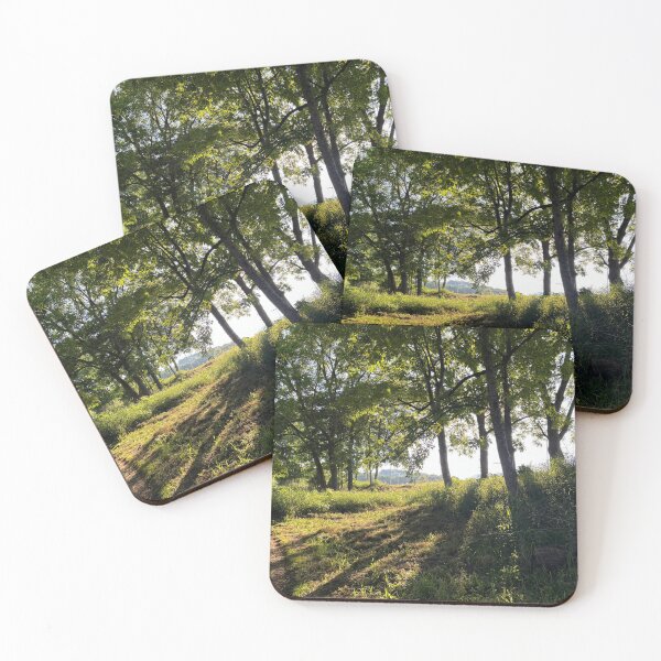 Item preview, Dappled Forest designed and sold by DigitalsByL.