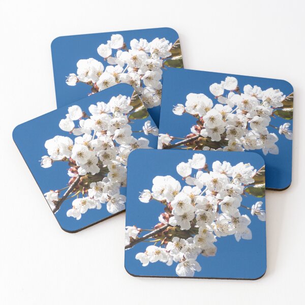 Item preview, White cherry blossoms in spring – flowering branch against a blue sky | Nature photography designed and sold by Katja LebenFreude.