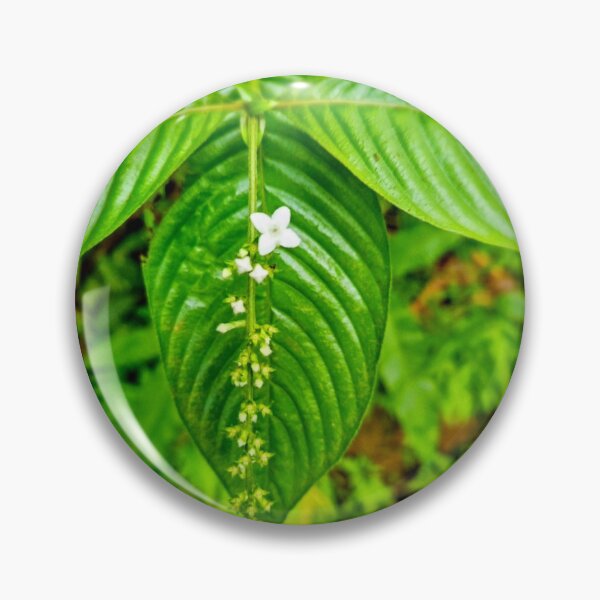 Item preview, Tropical flower designed and sold by KanaSukrePrints.