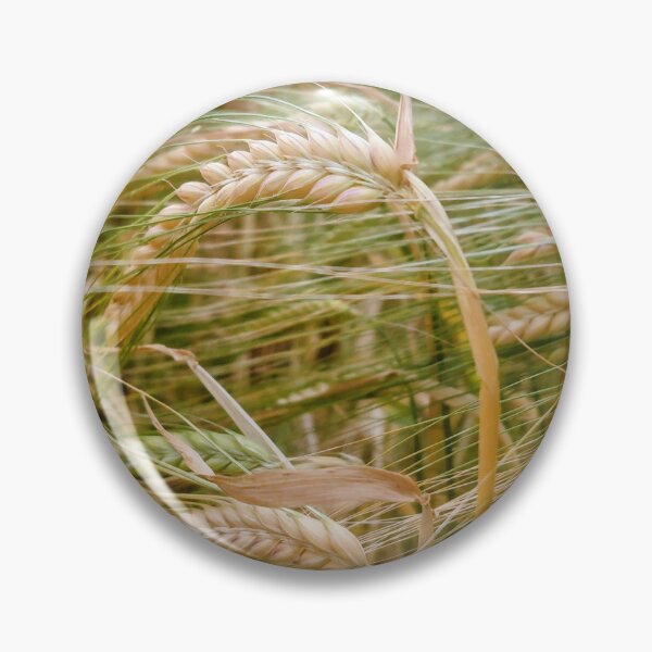 Item preview, Whole grain designed and sold by MonStile.