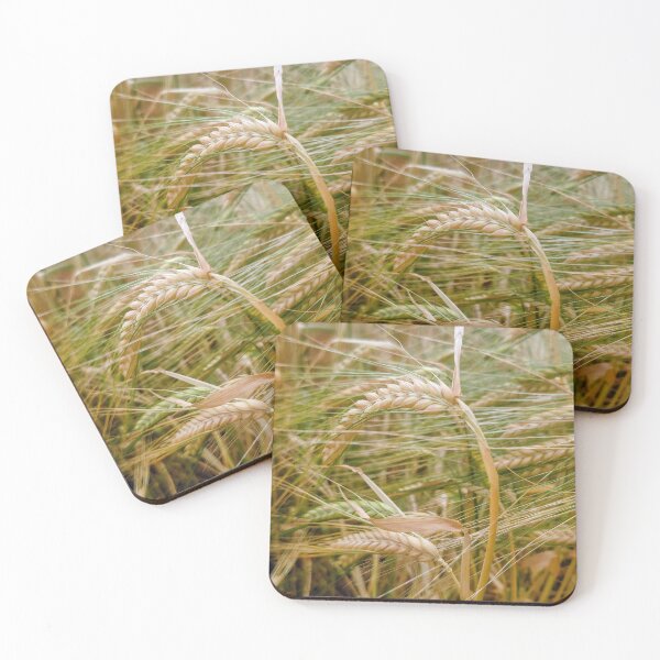 Item preview, Whole grain designed and sold by MonStile.