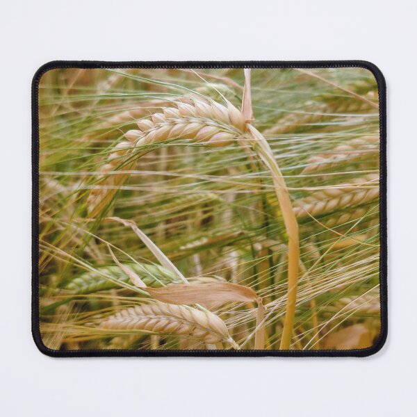 Item preview, Whole grain designed and sold by MonStile.