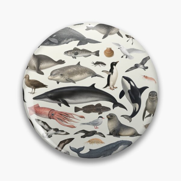 Item preview, Animals of Antarctica Retro Style Identification Chart designed and sold by kakarikihill.
