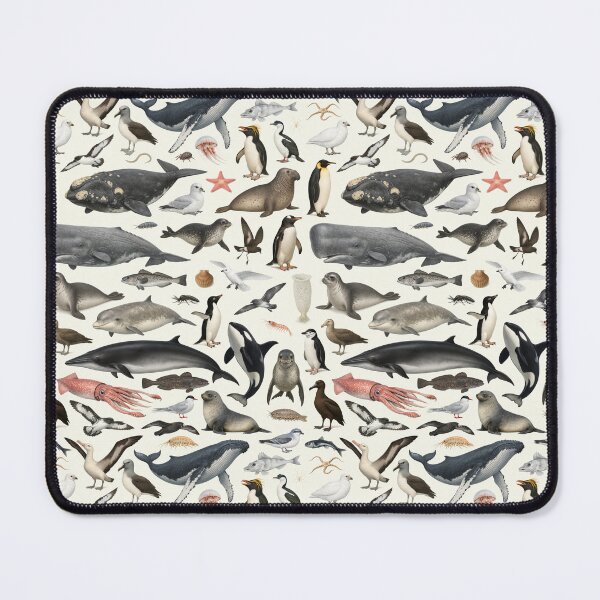 Item preview, Animals of Antarctica Retro Style Identification Chart designed and sold by kakarikihill.