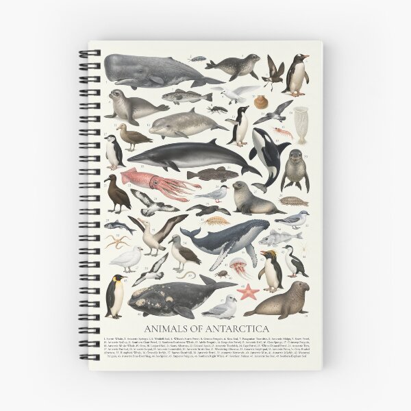 Item preview, Animals of Antarctica Retro Style Identification Chart designed and sold by kakarikihill.