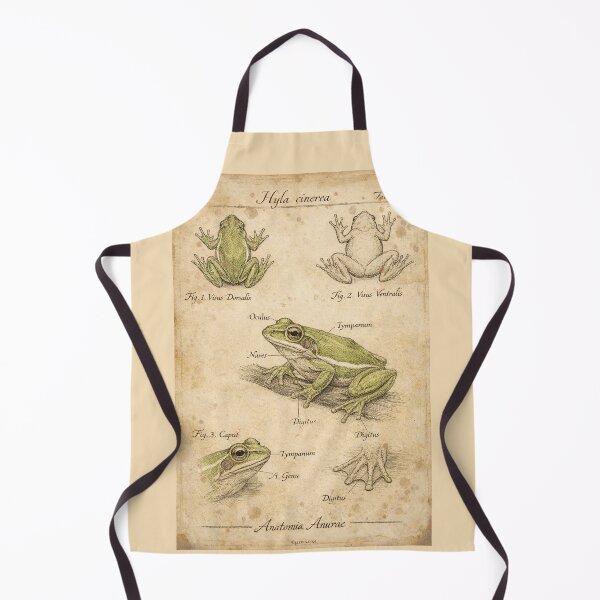 Item preview, Vintage Green Tree Frog Anatomy Poster - Archival Frog Art Print designed and sold by Jeeklsdotcom.