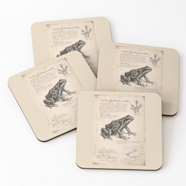 Item preview, Ranitomeya Variabilis Vintage Anatomy Poster – Poison Frog Art Print designed and sold by Jeeklsdotcom.